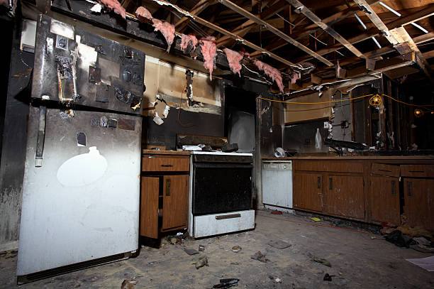 Affordable Fire Damage Removal solutions in Clarksville, MD